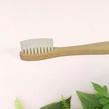 Buy Toothpaste Dispenser & Brush Holder and Get Bamboo Toothbrush Toothbrush Case Free!