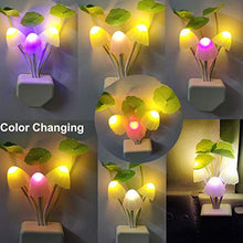 Buy LED Pull Cord Light and Get  Mushroom Night Light & 3-Digit Zipper Lock Free!