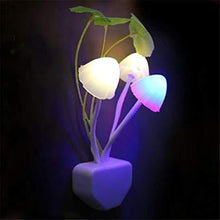 Buy LED Pull Cord Light and Get  Mushroom Night Light & 3-Digit Zipper Lock Free!